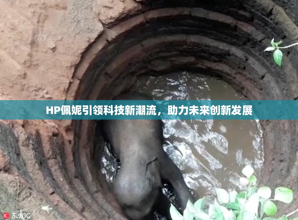 HP佩妮引领科技新潮流，助力未来创新发展