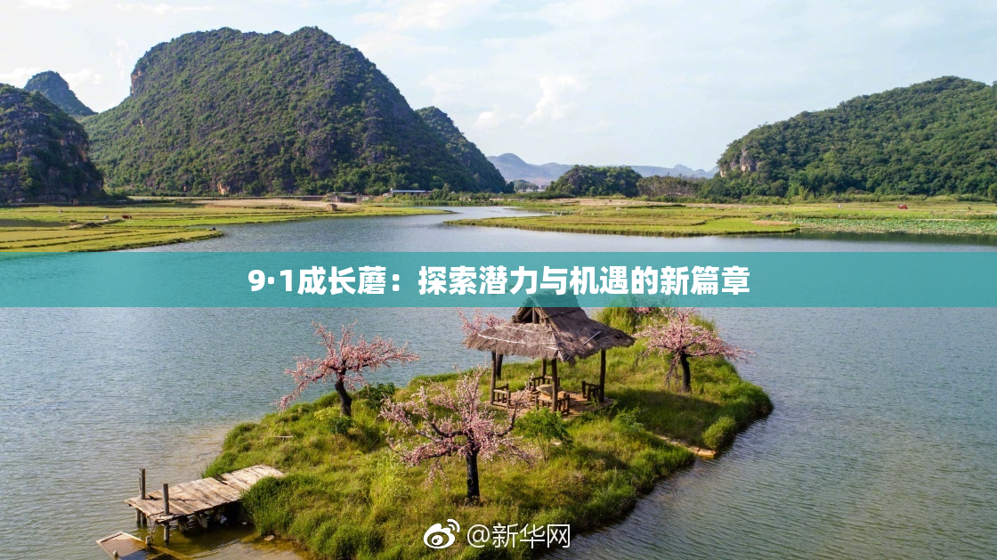 9·1成长蘑：探索潜力与机遇的新篇章