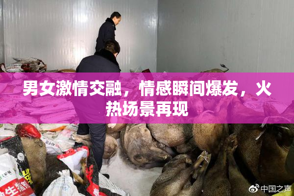 男女激情交融，情感瞬间爆发，火热场景再现
