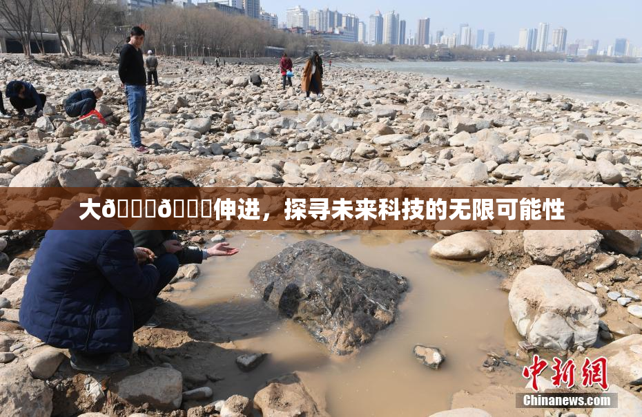 大🐔🐔伸进，探寻未来科技的无限可能性