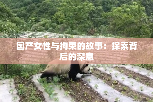 国产女性与拘束的故事：探索背后的深意