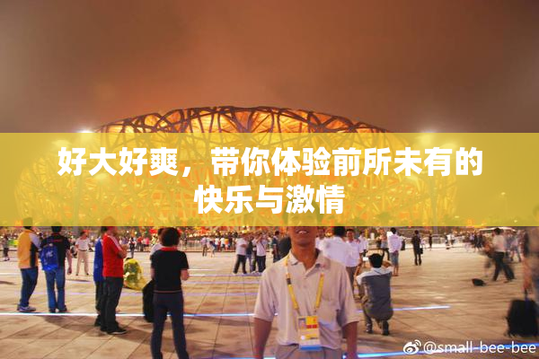 好大好爽，带你体验前所未有的快乐与激情