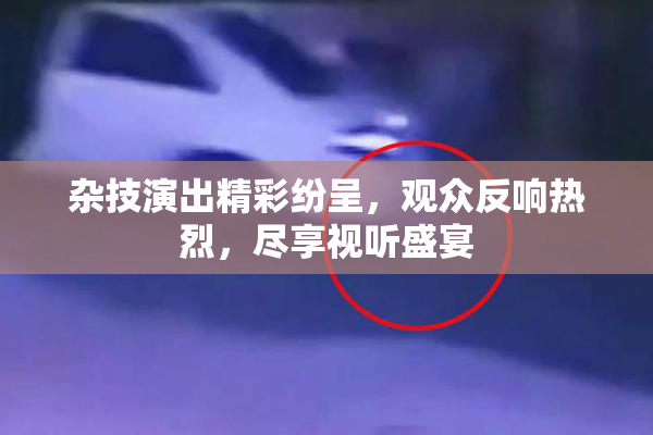杂技演出精彩纷呈，观众反响热烈，尽享视听盛宴