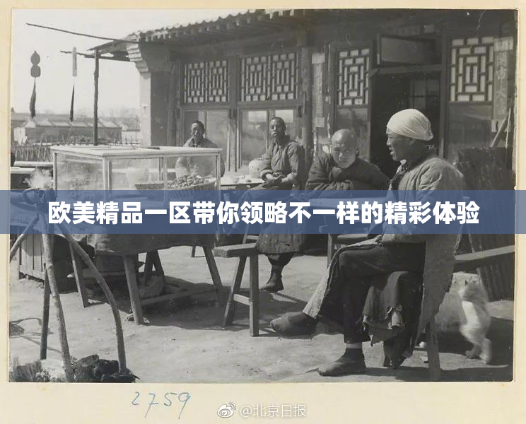 欧美精品一区带你领略不一样的精彩体验