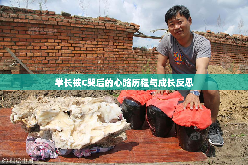 学长被C哭后的心路历程与成长反思