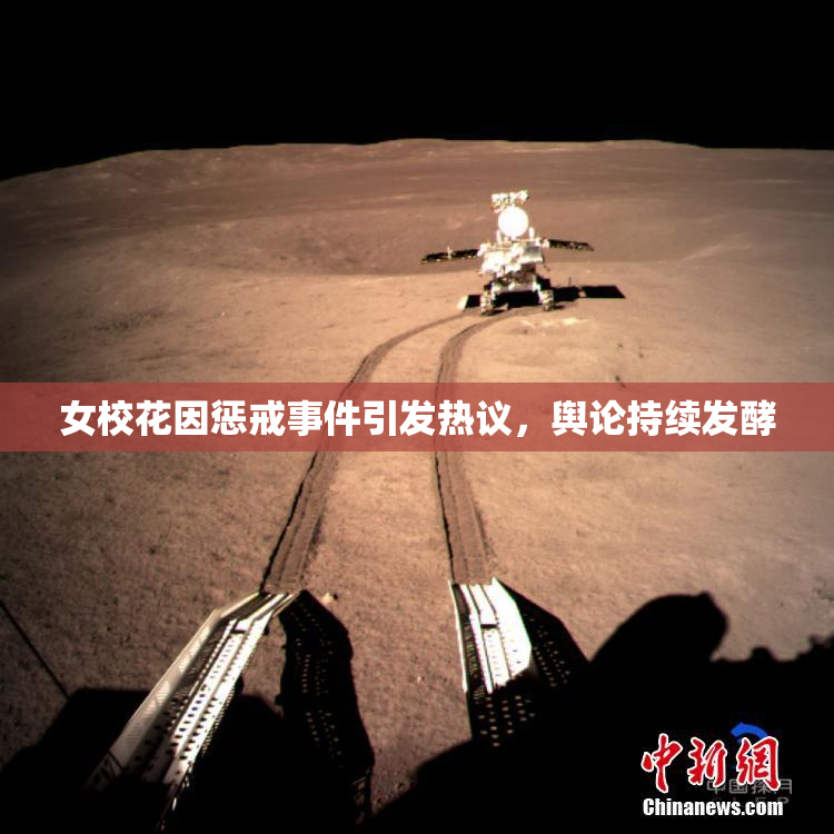 女校花因惩戒事件引发热议，舆论持续发酵