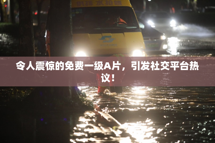 令人震惊的免费一级A片，引发社交平台热议！