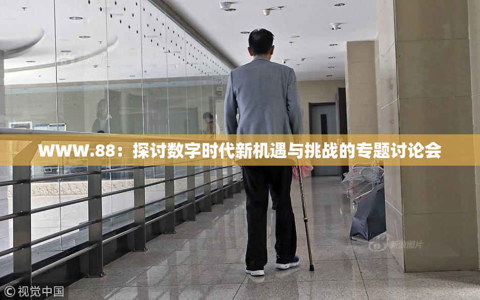 WWW.88：探讨数字时代新机遇与挑战的专题讨论会