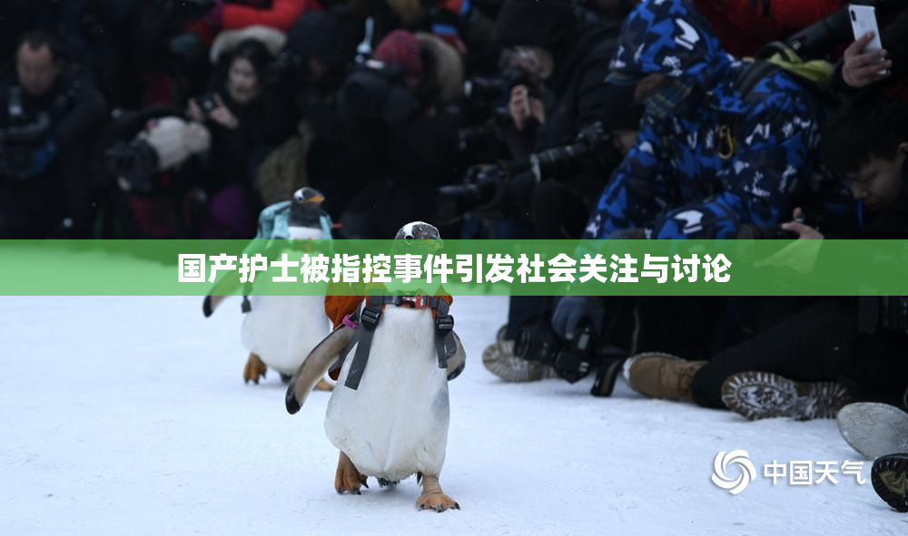国产护士被指控事件引发社会关注与讨论