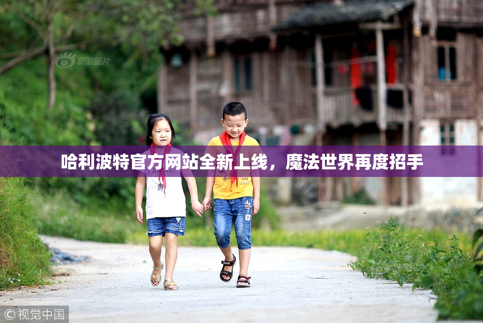 哈利波特官方网站全新上线，魔法世界再度招手