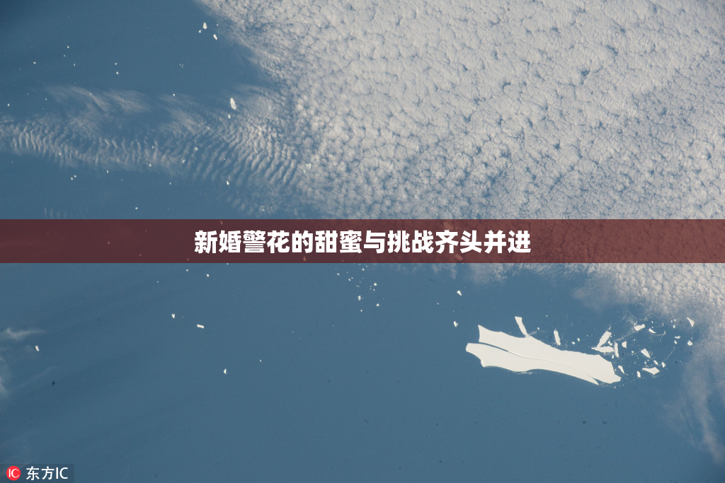 新婚警花的甜蜜与挑战齐头并进