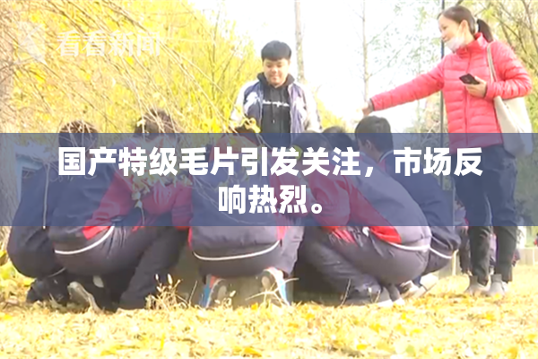 国产特级毛片引发关注，市场反响热烈。