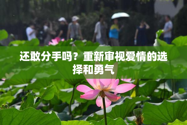 还敢分手吗？重新审视爱情的选择和勇气