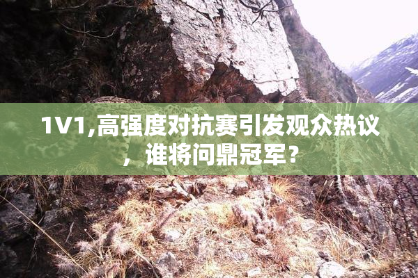 1V1,高强度对抗赛引发观众热议，谁将问鼎冠军？