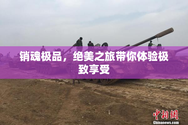 销魂极品，绝美之旅带你体验极致享受