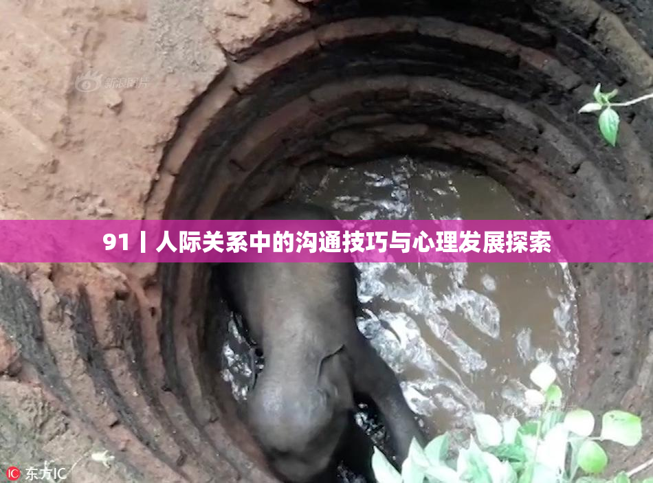 91丨人际关系中的沟通技巧与心理发展探索