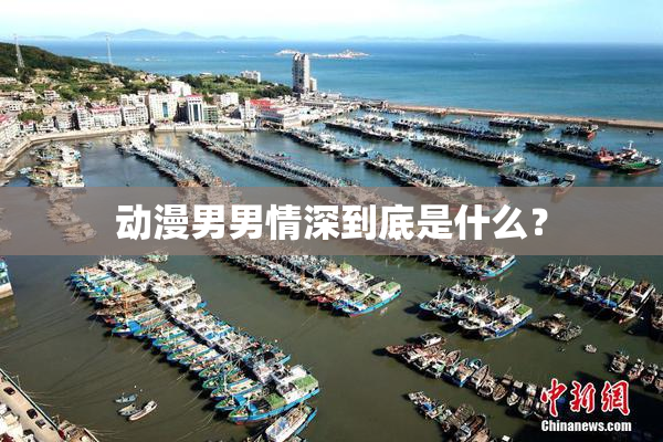 动漫男男情深到底是什么？