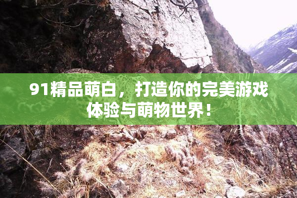 91精品萌白，打造你的完美游戏体验与萌物世界！