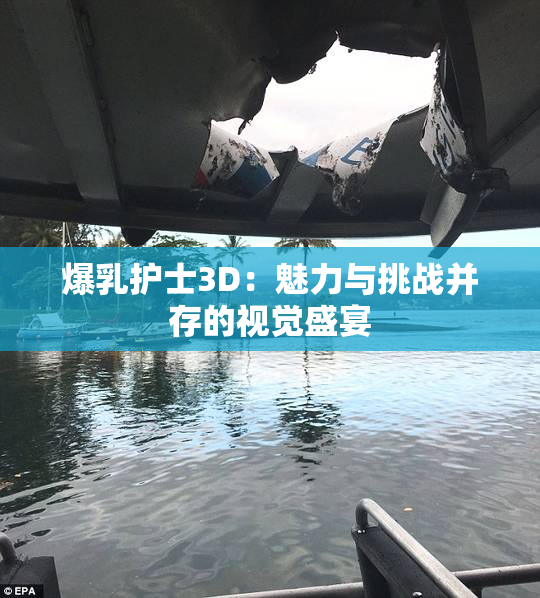 爆乳护士3D：魅力与挑战并存的视觉盛宴