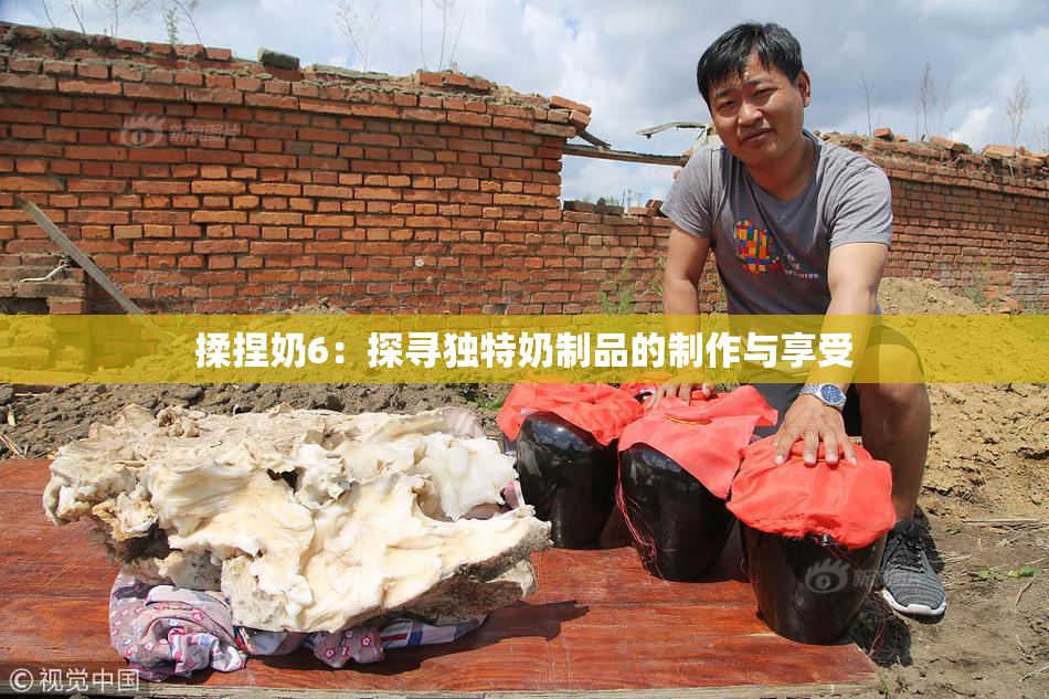 揉捏奶6：探寻独特奶制品的制作与享受