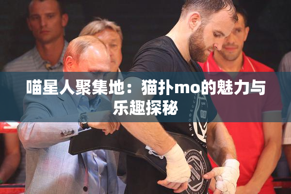 喵星人聚集地：猫扑mo的魅力与乐趣探秘