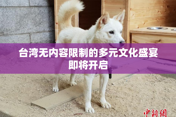 台湾无内容限制的多元文化盛宴即将开启