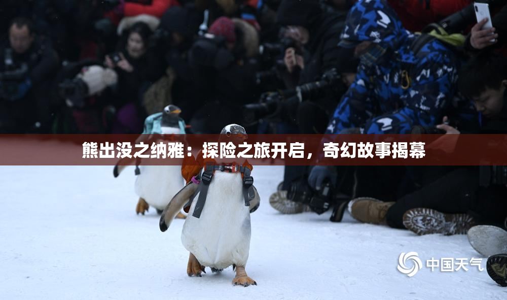 熊出没之纳雅：探险之旅开启，奇幻故事揭幕