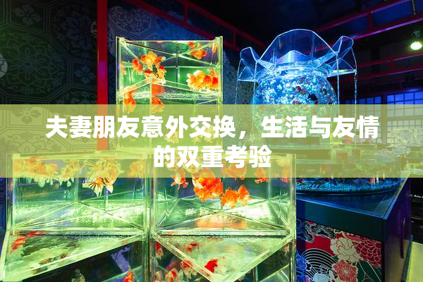 夫妻朋友意外交换，生活与友情的双重考验