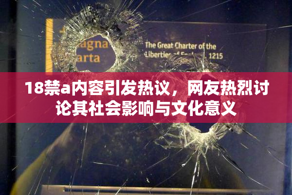 18禁a内容引发热议，网友热烈讨论其社会影响与文化意义
