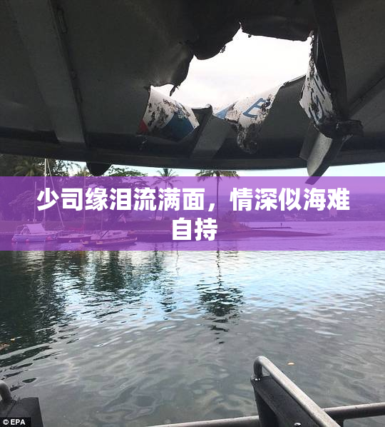 少司缘泪流满面，情深似海难自持