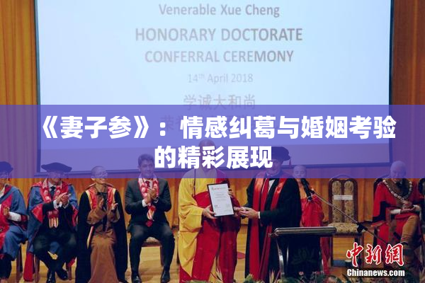 《妻子参》：情感纠葛与婚姻考验的精彩展现