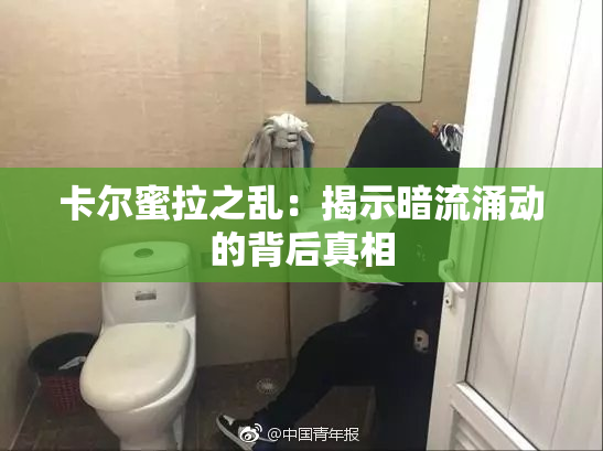 卡尔蜜拉之乱：揭示暗流涌动的背后真相