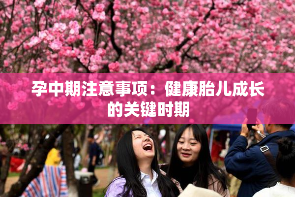 孕中期注意事项：健康胎儿成长的关键时期