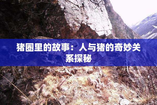 猪圈里的故事：人与猪的奇妙关系探秘
