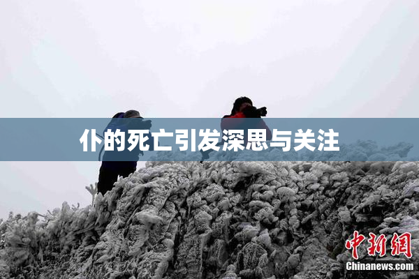 仆的死亡引发深思与关注