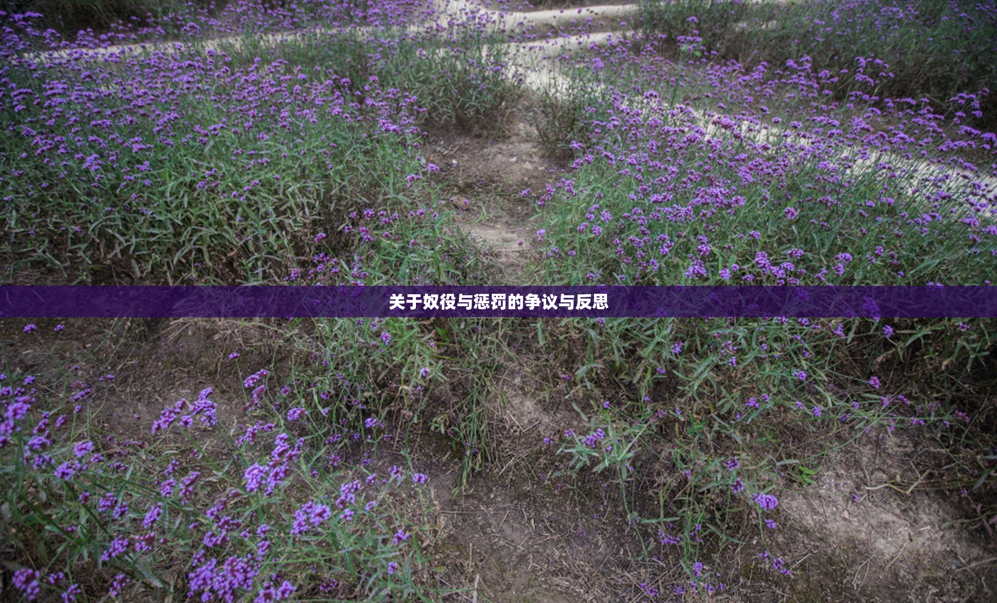 关于奴役与惩罚的争议与反思