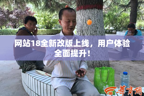 网站18全新改版上线，用户体验全面提升！