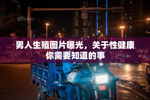 男人生殖图片曝光，关于性健康你需要知道的事