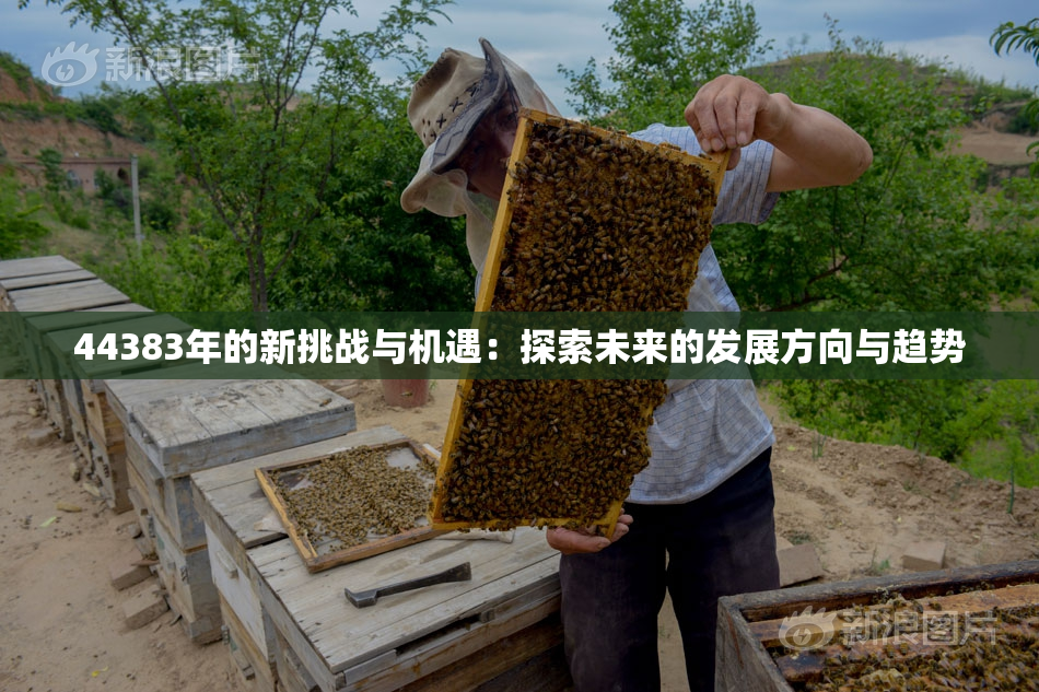 44383年的新挑战与机遇：探索未来的发展方向与趋势