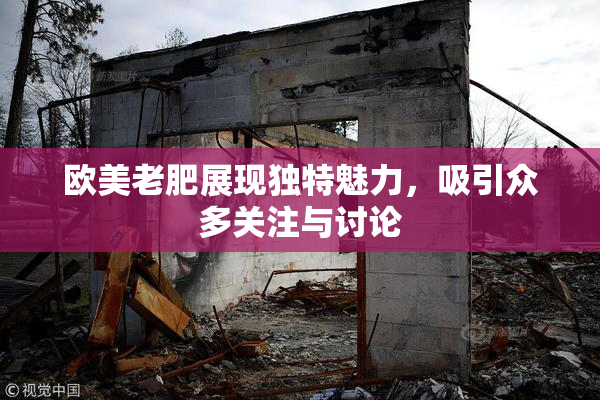 欧美老肥展现独特魅力，吸引众多关注与讨论