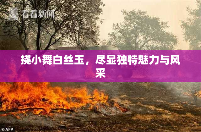 挠小舞白丝玉，尽显独特魅力与风采