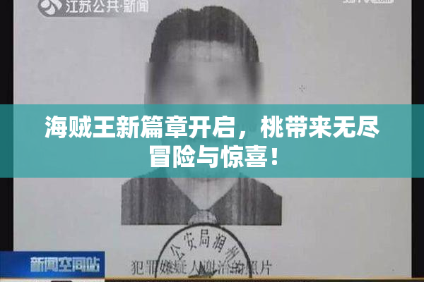 海贼王新篇章开启，桃带来无尽冒险与惊喜！