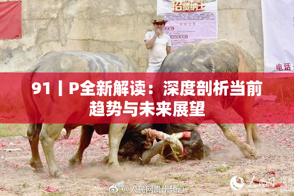91丨P全新解读：深度剖析当前趋势与未来展望