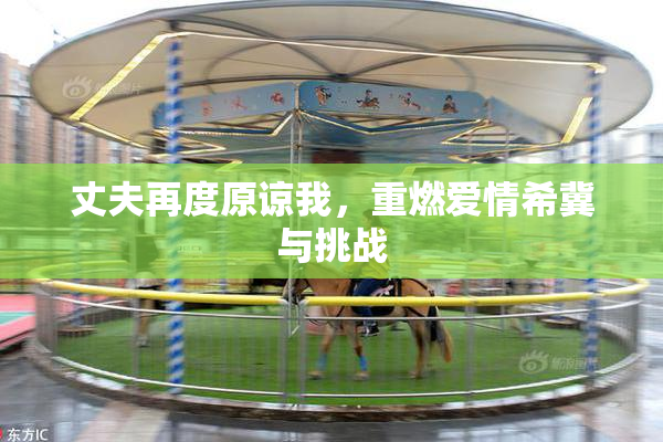 丈夫再度原谅我，重燃爱情希冀与挑战
