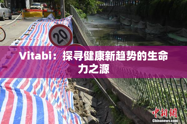Vitabi：探寻健康新趋势的生命力之源