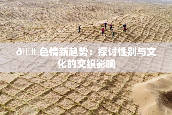 🔞色情新趋势：探讨性别与文化的交织影响