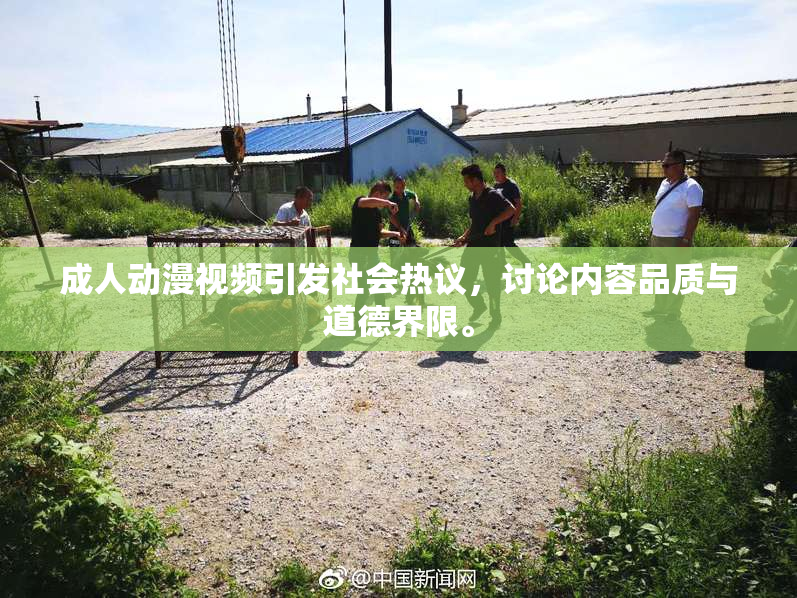 成人动漫视频引发社会热议，讨论内容品质与道德界限。
