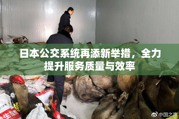 日本公交系统再添新举措，全力提升服务质量与效率