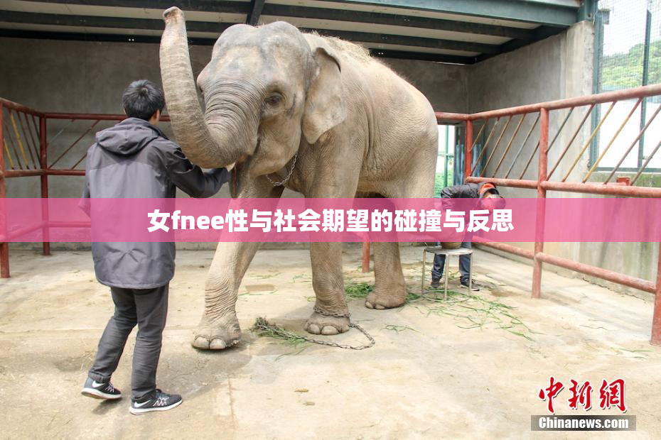 女fnee性与社会期望的碰撞与反思