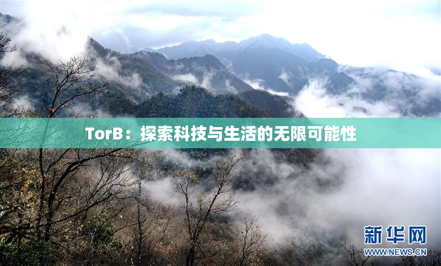 TorB：探索科技与生活的无限可能性